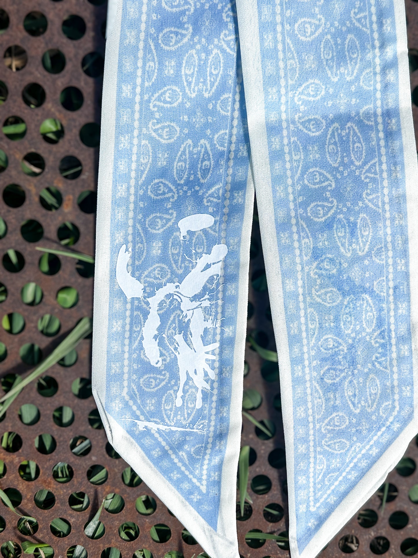 Paisley Twillys